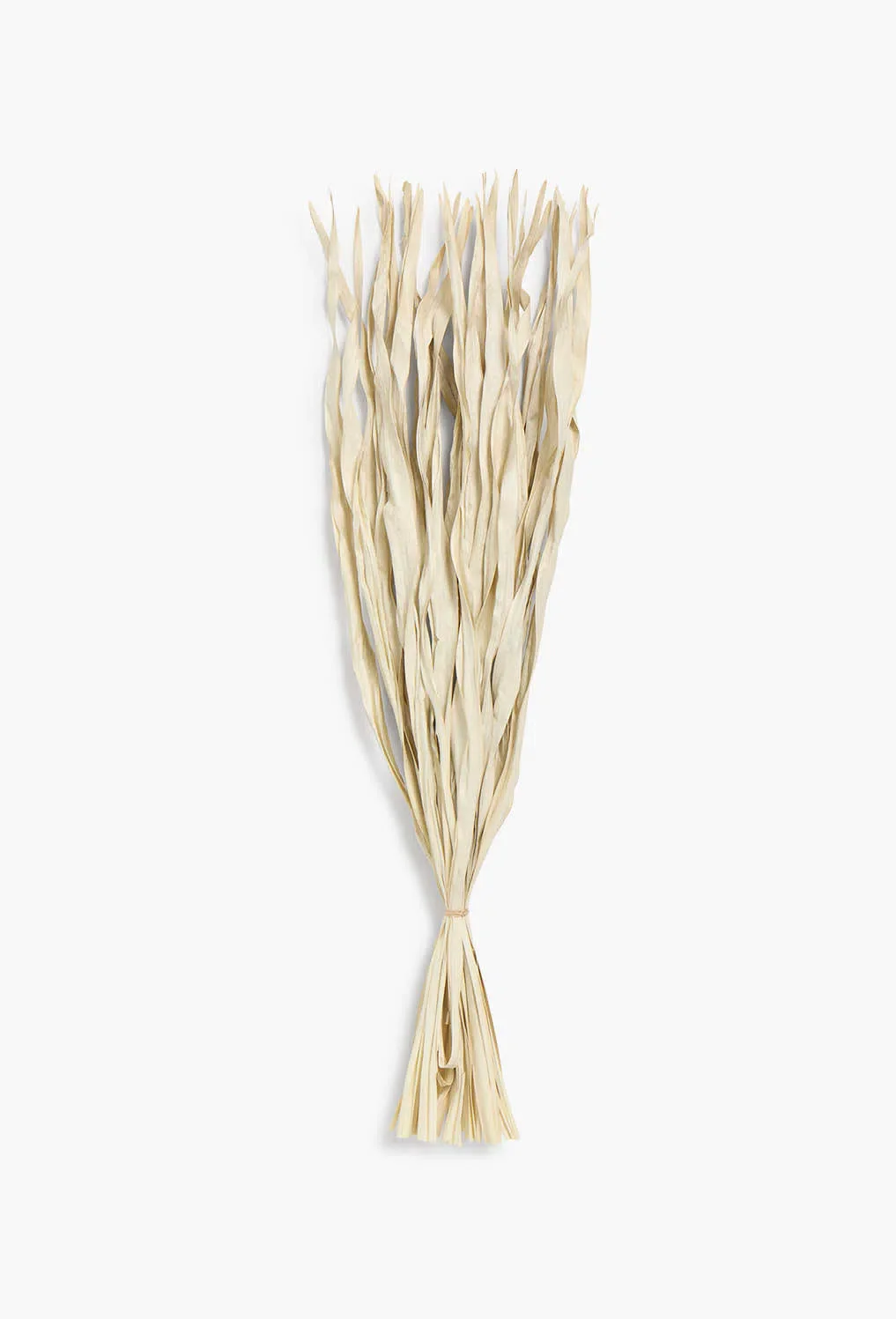 Ramillete de hojas secas gris Rotun - Image 4