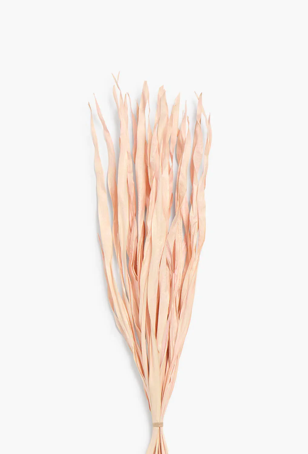 Ramillete de hojas secas marrón Rotun - Image 4